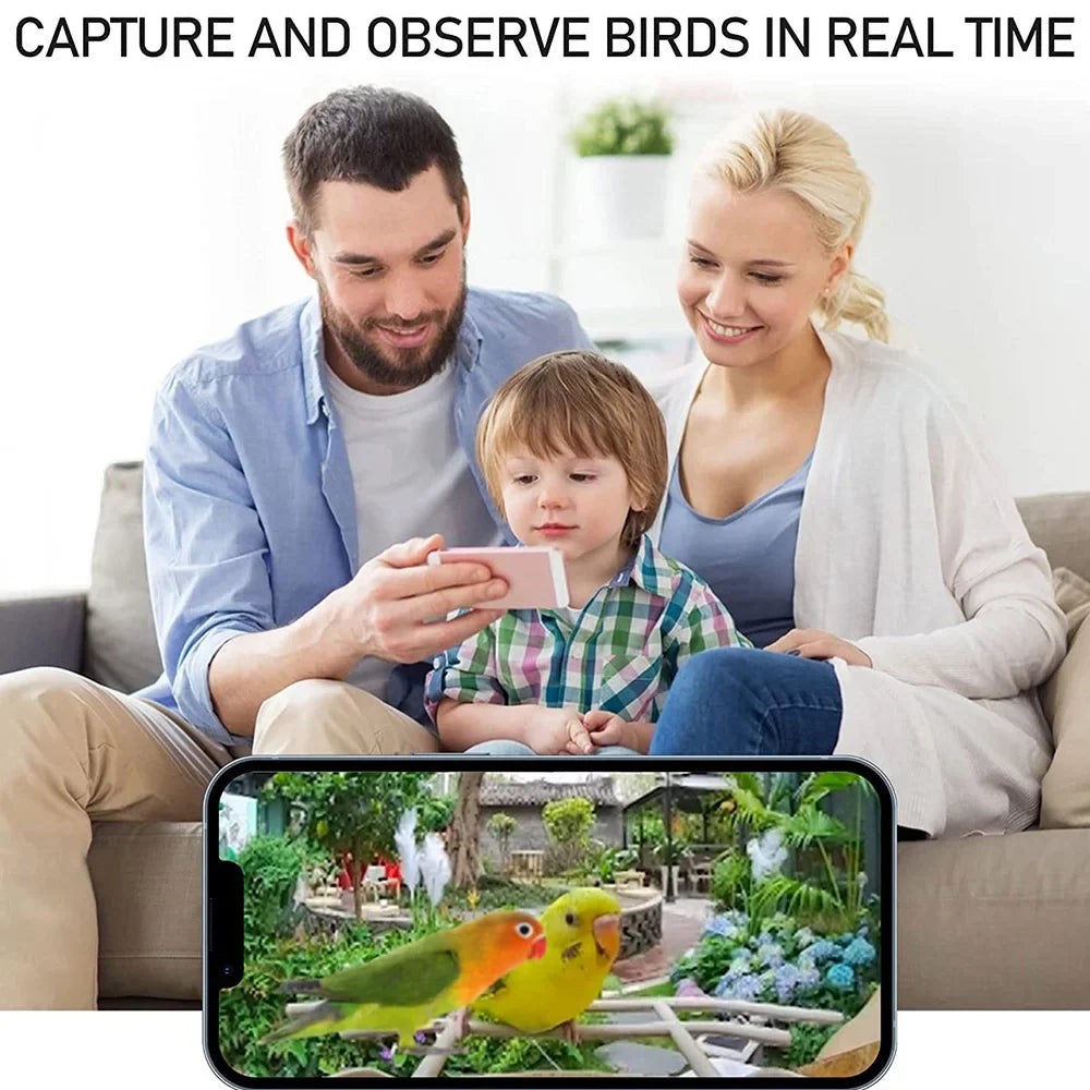 Bird 1080P Smart Auto Bird Species Detection Feeder Real-time IP65 Cards AI Identify and TF Notification Capture Bird Video 128G Motion Waterproof Camera WIFI