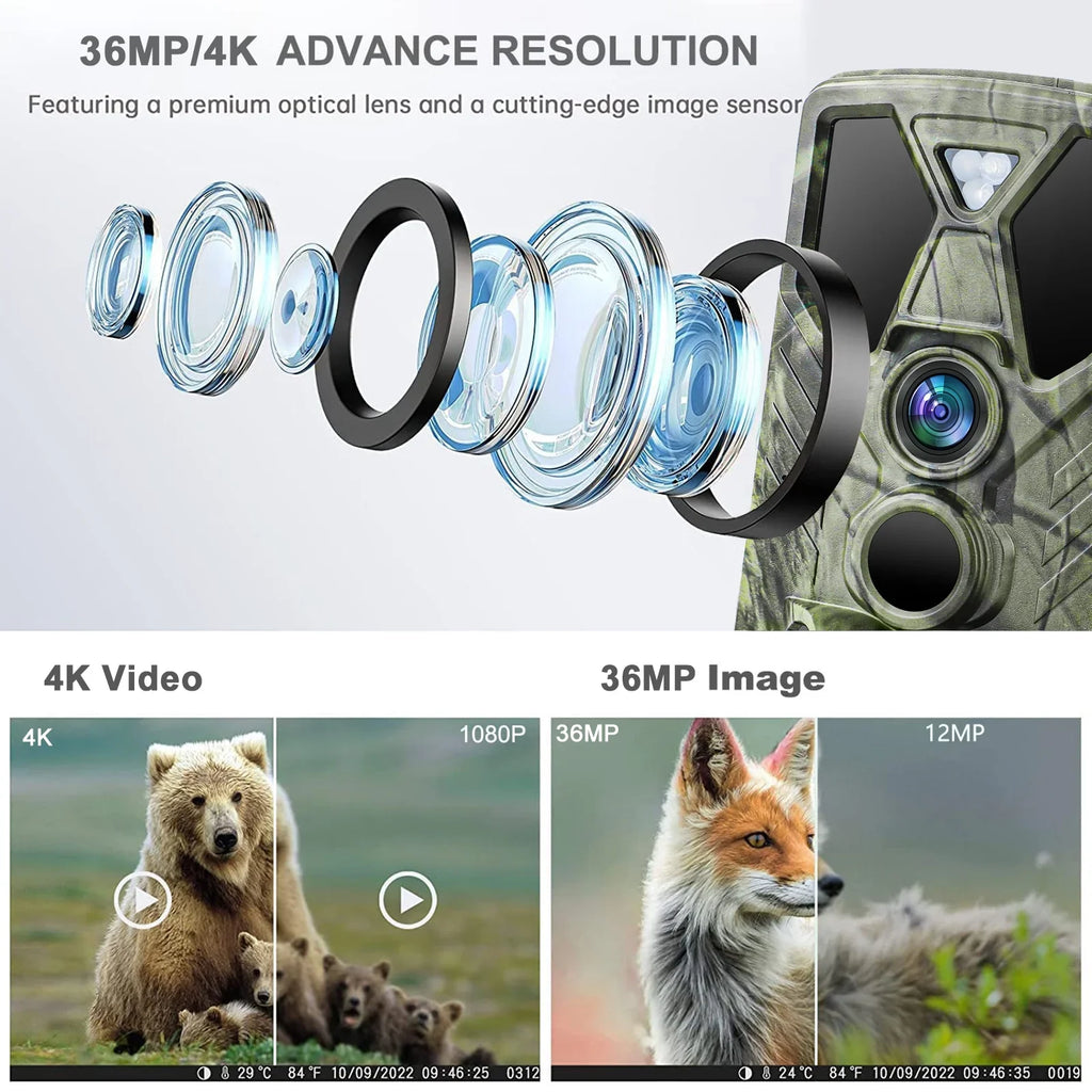HC-812A 36MP 4K Camera IR Night Trail Wildgame Monitors SuntekCam Monitor Camera 32GB LED with with Hunting Trail Waterproof Hunting Vision TF Trail Card Wildlife