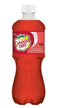 Pack Ginger Canada of Dry 20 oz, Fruit Ale, 16 Cranberry