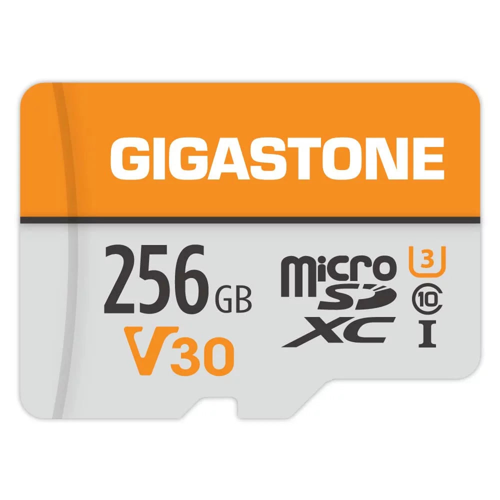 Recording, Video V30 for 4K up MicroSDXC Camera, with Micro 256GB C10, Nintendo-Switch, Adapter 4K SD to U3 Video Wyze, GoPro, Dash Pro, Memory Cam, Security Gigastone Card, A1 Card UHS-I 100MB/s,