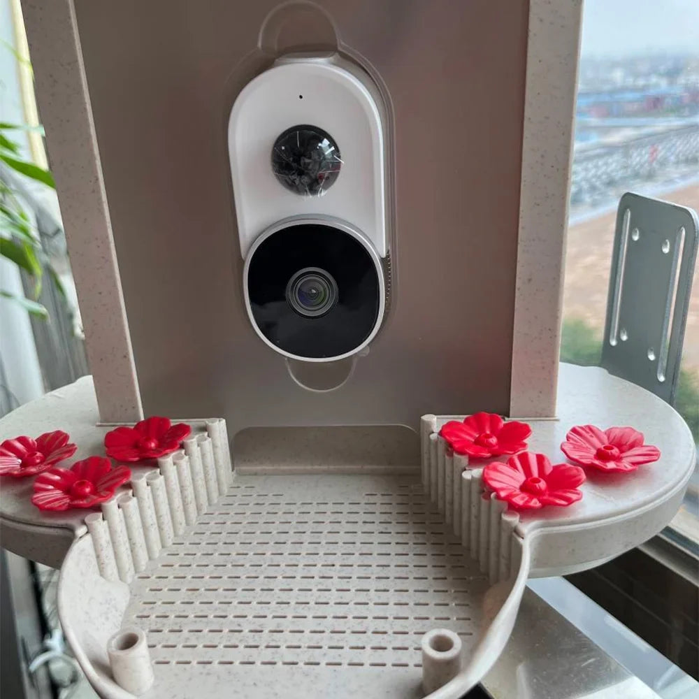 Bird 1080P Smart Auto Bird Species Detection Feeder Real-time IP65 Cards AI Identify and TF Notification Capture Bird Video 128G Motion Waterproof Camera WIFI