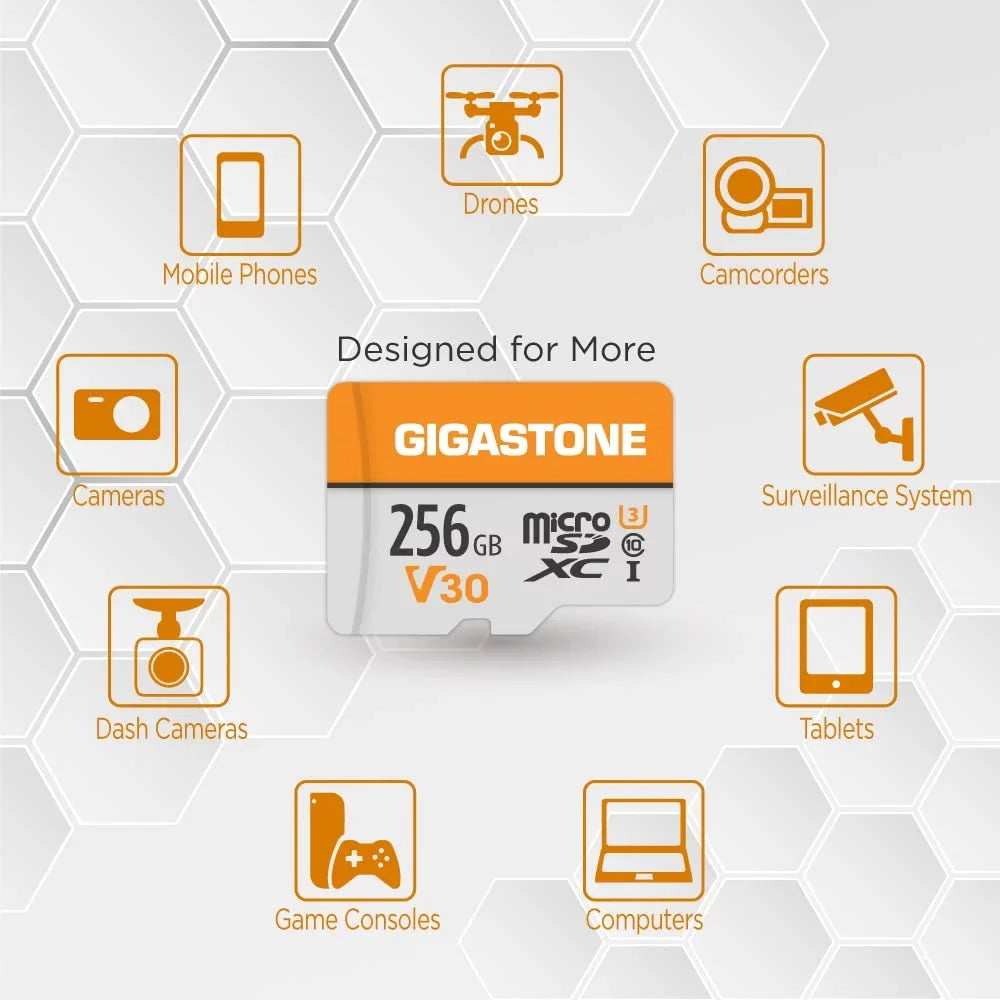Recording, Video V30 for 4K up MicroSDXC Camera, with Micro 256GB C10, Nintendo-Switch, Adapter 4K SD to U3 Video Wyze, GoPro, Dash Pro, Memory Cam, Security Gigastone Card, A1 Card UHS-I 100MB/s,