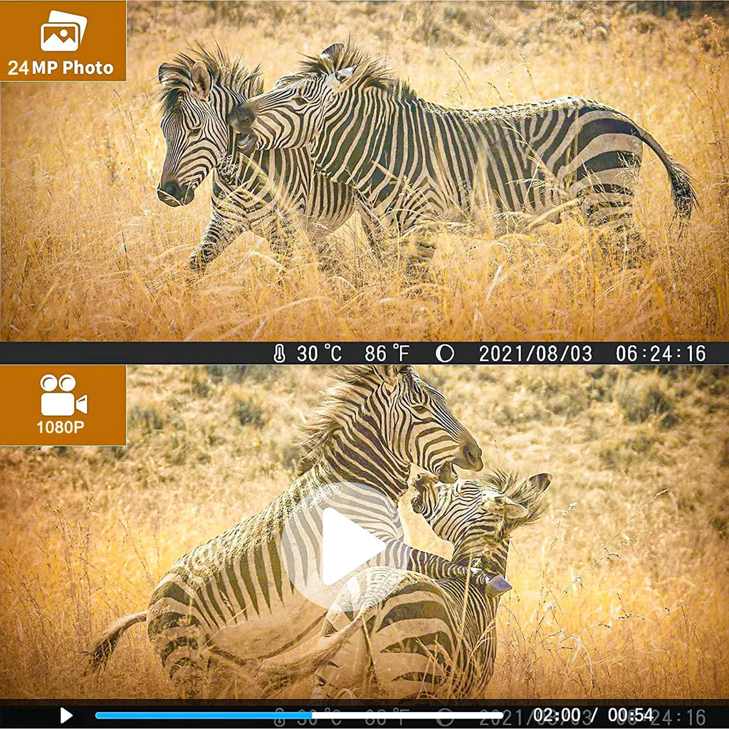 HC-812A 36MP 4K Camera IR Night Trail Wildgame Monitors SuntekCam Monitor Camera 32GB LED with with Hunting Trail Waterproof Hunting Vision TF Trail Card Wildlife