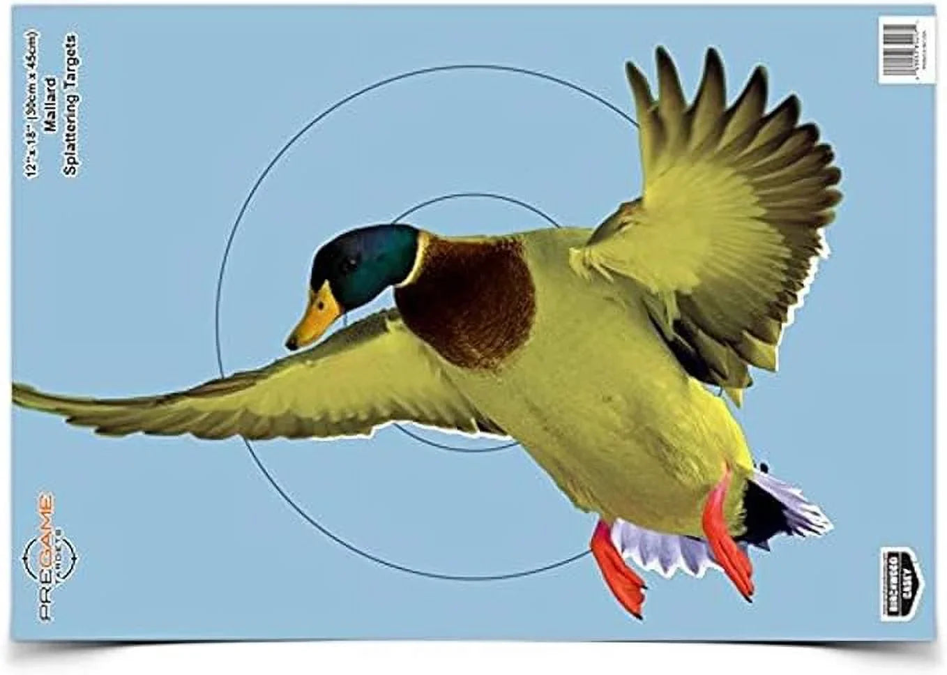 '- 12" Targets Splattering Photo-Realistic & All Shooting Guns - CASEY Small Game Pack Targets Instant for 8 Calibers 18" - Pregame Animal x with Use BIRCHWOOD Targets