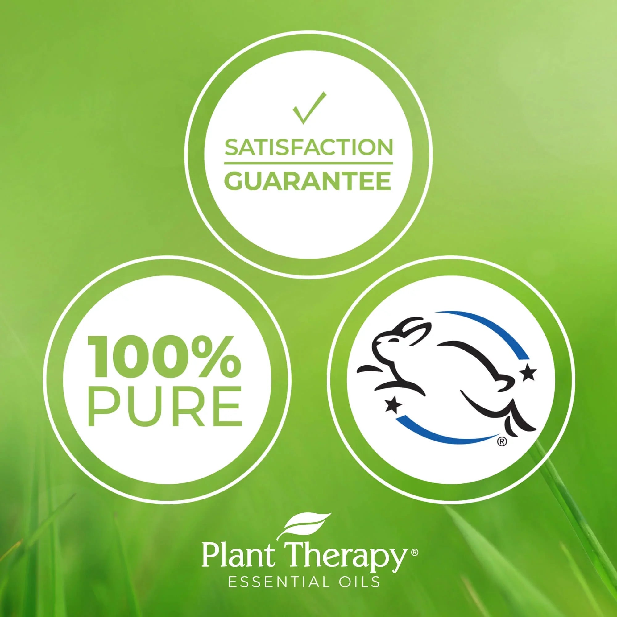 of Hyaluronic Appearance Vitamin Serum Acid, Hyaluronic & Fine Vitamin Plant & Facial Lines with with Wrinkles Reduces 4 C Acid Acid, Ferulic and Therapy the oz E,