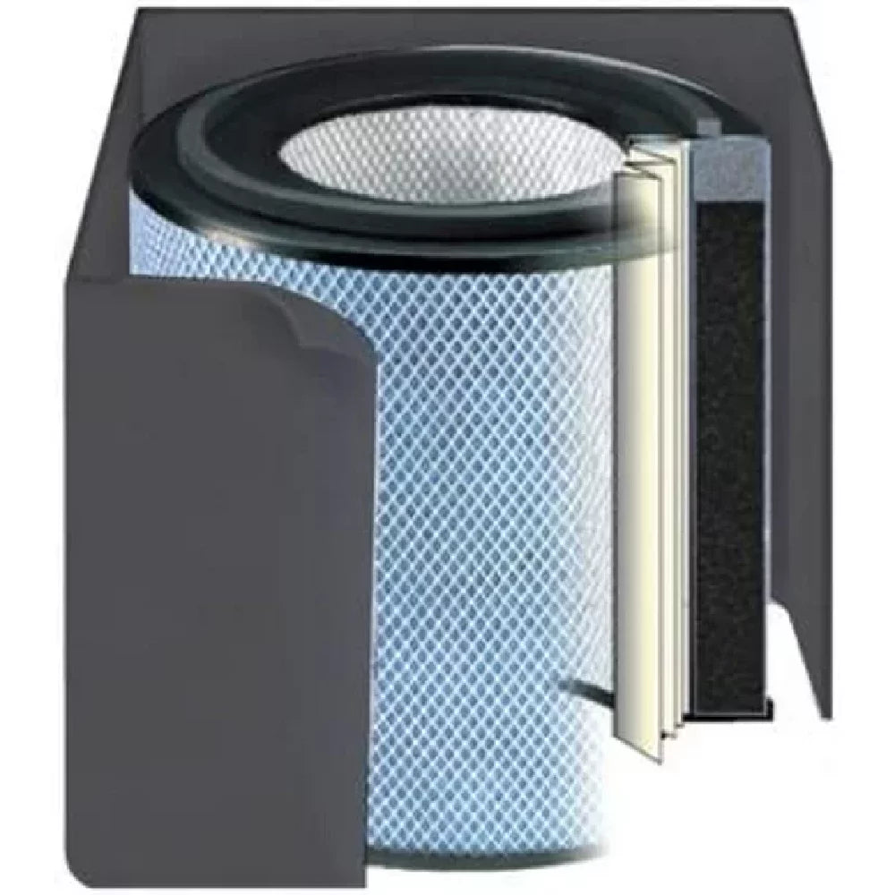 Health-Mate 1 Filter Austin Purifier, Air FR400A Black Standard, Air