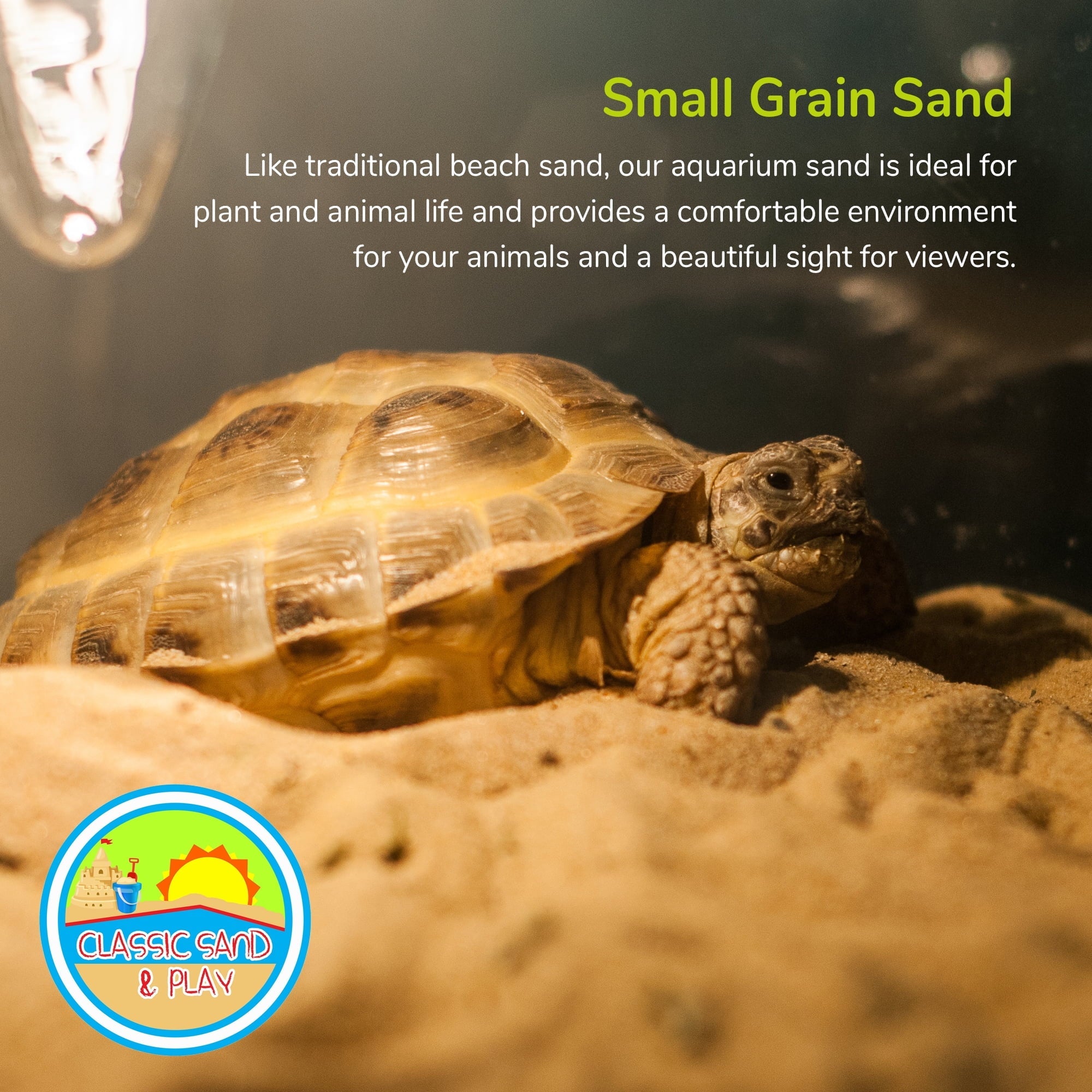 lb. & Sand 40 Freshwater Saltwater Tanks, for CLASSIC and Yellow SAND Natural Aquarium PLAY