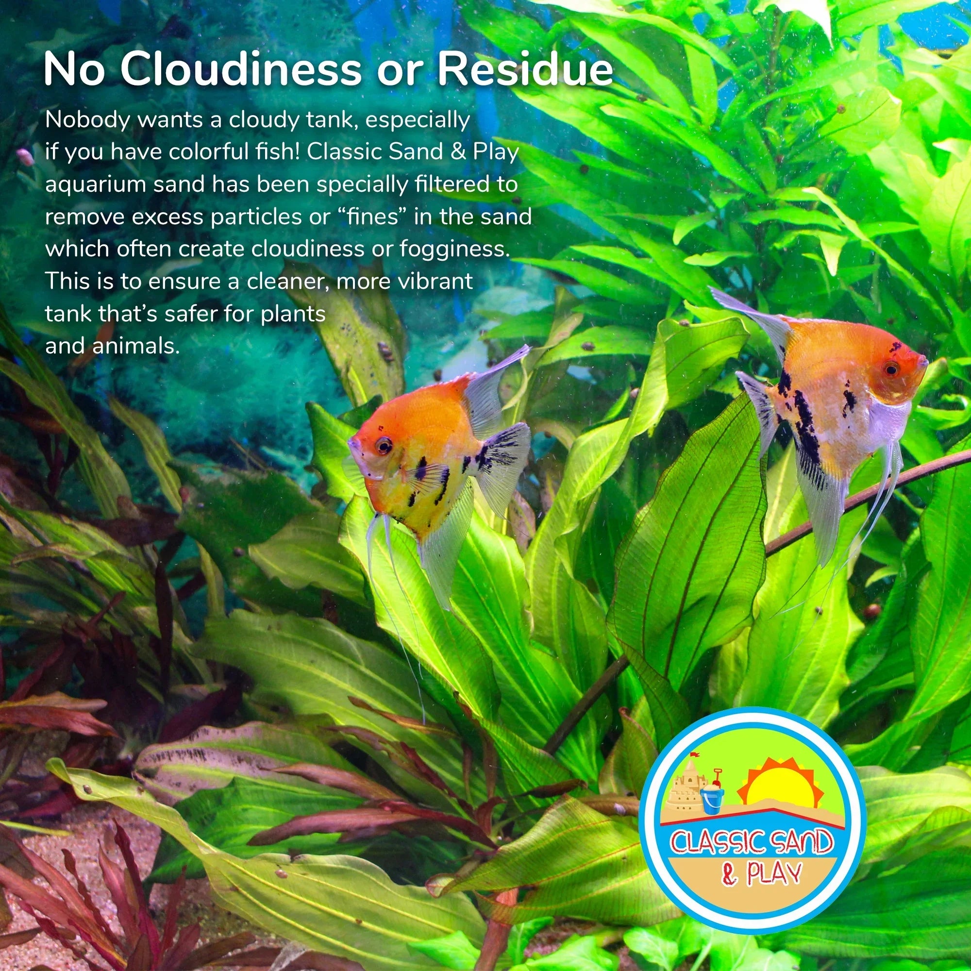 lb. & Sand 40 Freshwater Saltwater Tanks, for CLASSIC and Yellow SAND Natural Aquarium PLAY