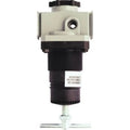 NPT, 1/2" PSI Regulator Milton 2-125 1115 1PK