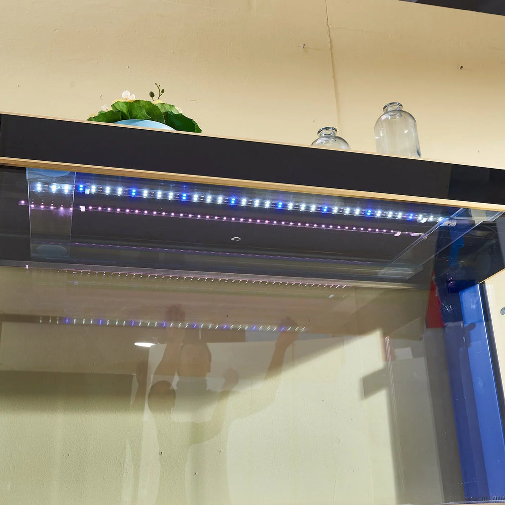 and Glass Gallon All-in-one Aquarium Black Gold Tempered 250 Aqua Dream