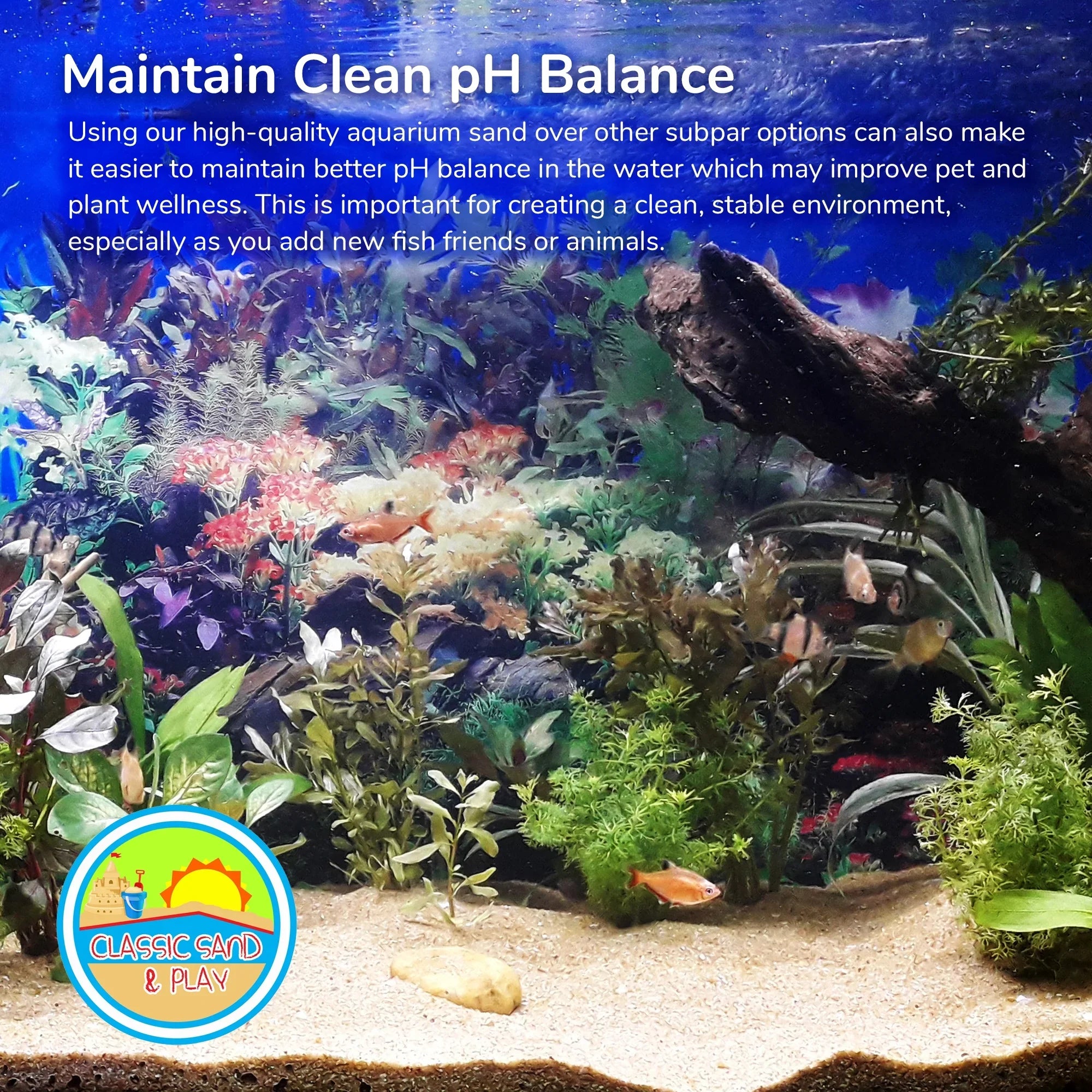 lb. & Sand 40 Freshwater Saltwater Tanks, for CLASSIC and Yellow SAND Natural Aquarium PLAY